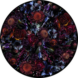 5605 Fool's Paradise vloerkleed 350