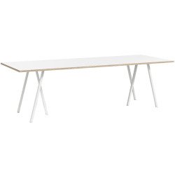 1862 Loop Stand tafel wit 250x93