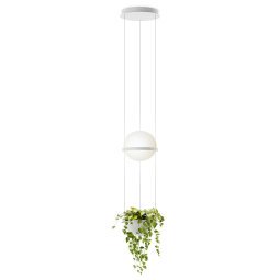 Palma Hanglamp 3724 LED Ø22 met plantenbak mat wit