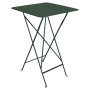 Bistro statafel 71x71 Cedar Green