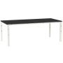 WT tafel 230x100  Black/White