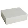 Colour Storage opbergdoos L Grey