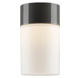 Opus 100/175 plafond- en wandlamp Ø10 opaal grijs