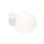 Classic Globe wandlamp retrofit Ø18 opaal wit