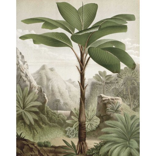 Banana Tree behangpaneel 142x180