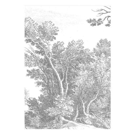 Engraved Landscapes V behang (4 banen)