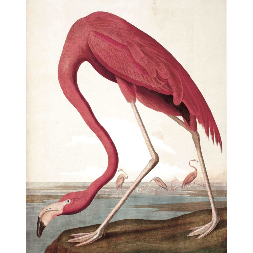 Flamingo behangpaneel 142x180