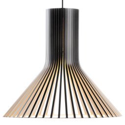 Puncto 4203 hanglamp Ø45 zwart