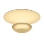 Funnel 2012 plafond- en wandlamp Ø22 LED small Gold Leaf