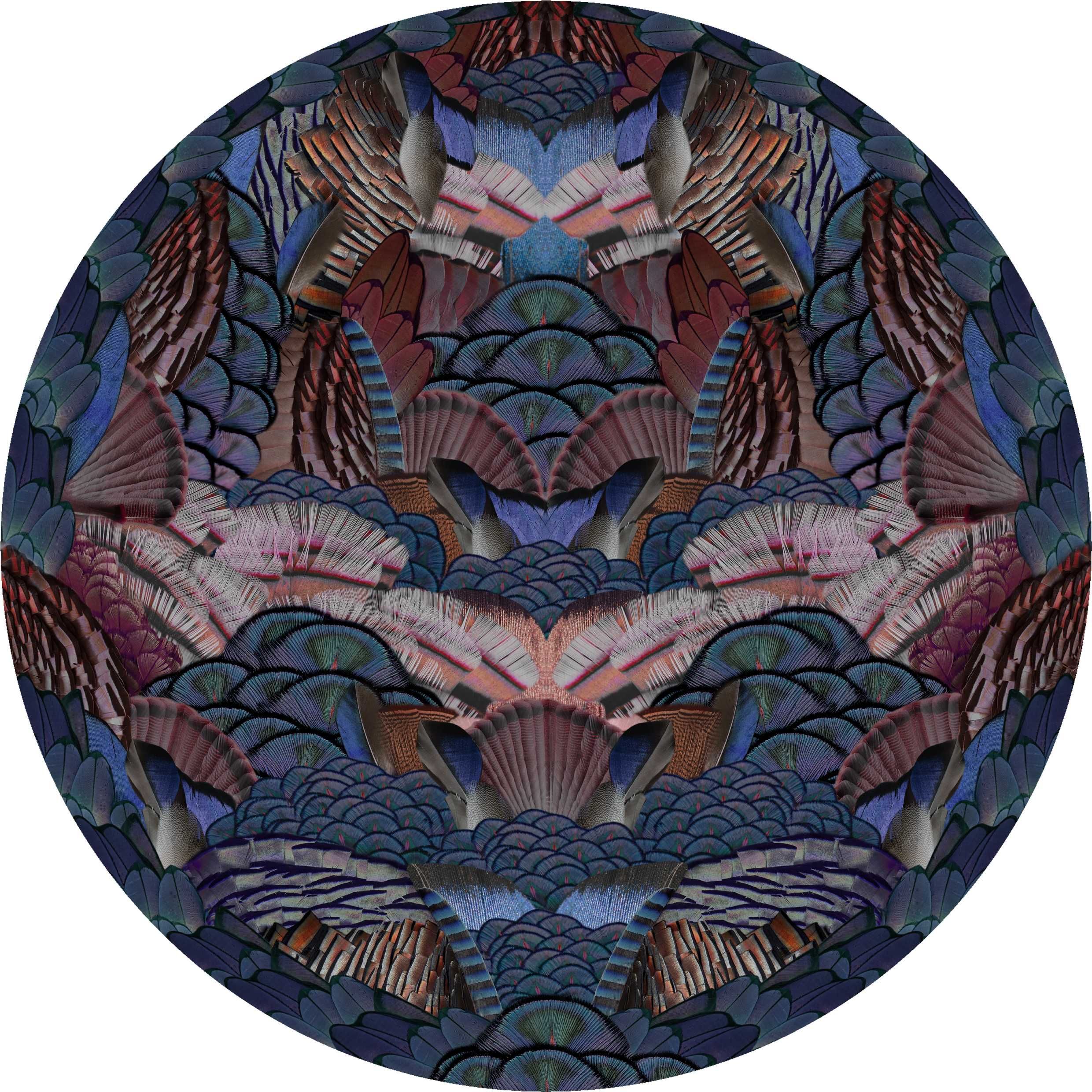 Moooi Carpets Calligraphy Bird Vloerkleed 250 moooi carpets kopen in de aanbieding Moooi Carpets Calligraphy Bird Vloerkleed 250 moooi carpets kopen in de aanbieding