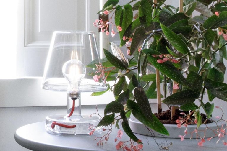 Gallery image for position 13