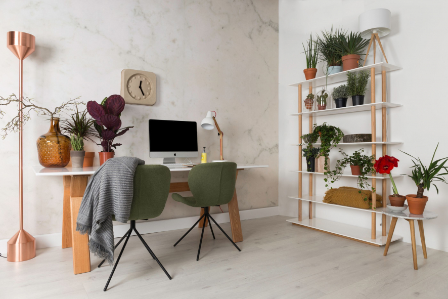 Gallery image for position 12