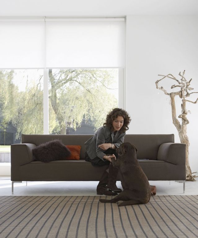 Gallery image for position 29