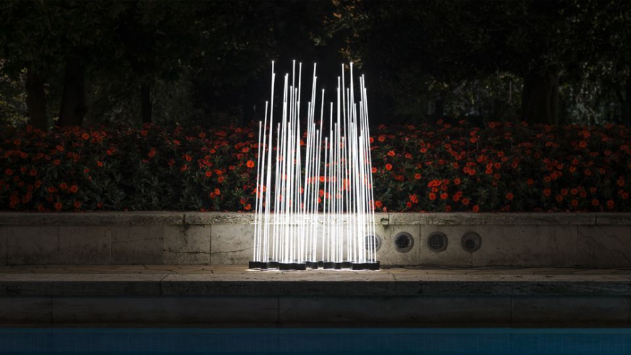 Gallery image for position 5