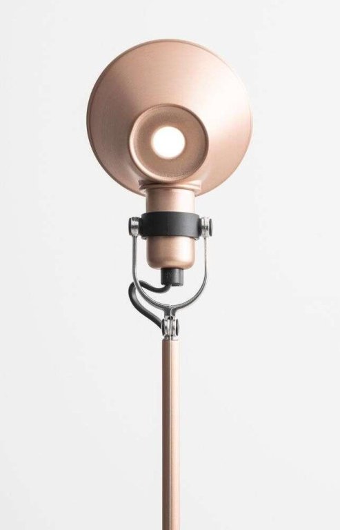 Gallery image for position 19