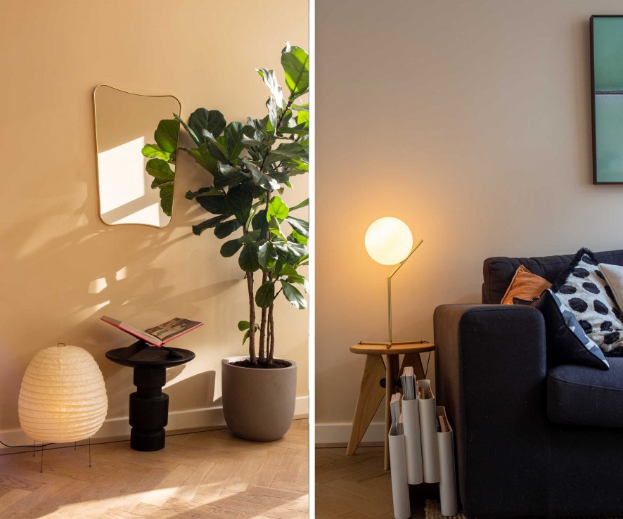 Gallery image for position 6