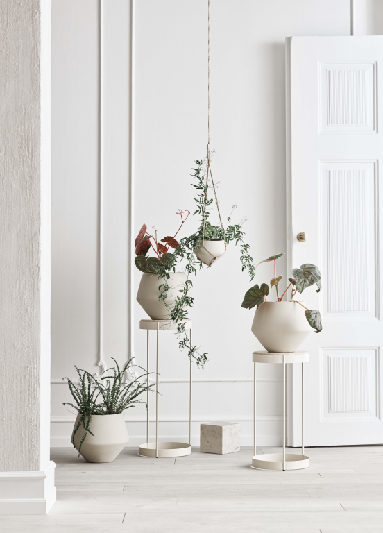 Gallery image for position 3