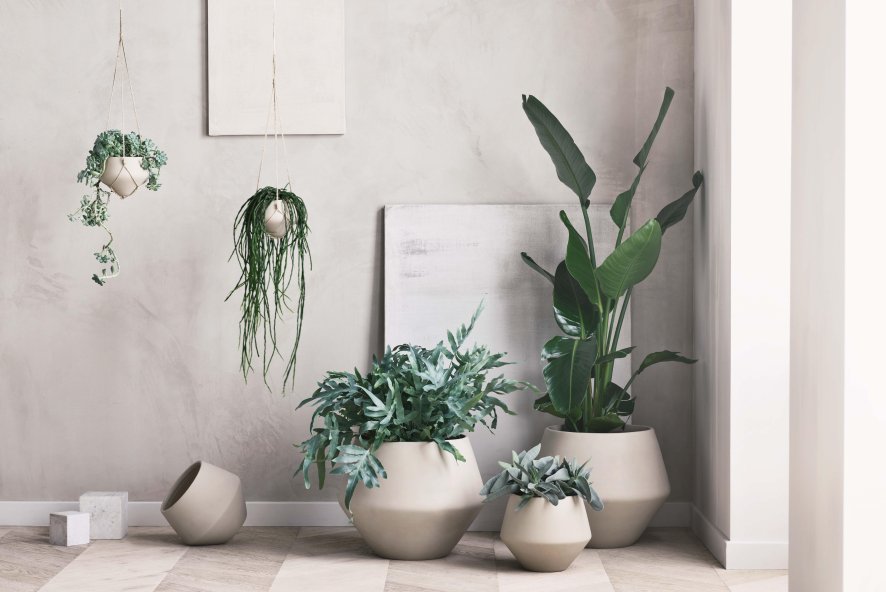 Gallery image for position 9