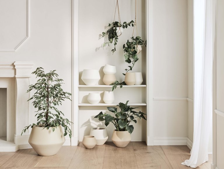 Gallery image for position 5