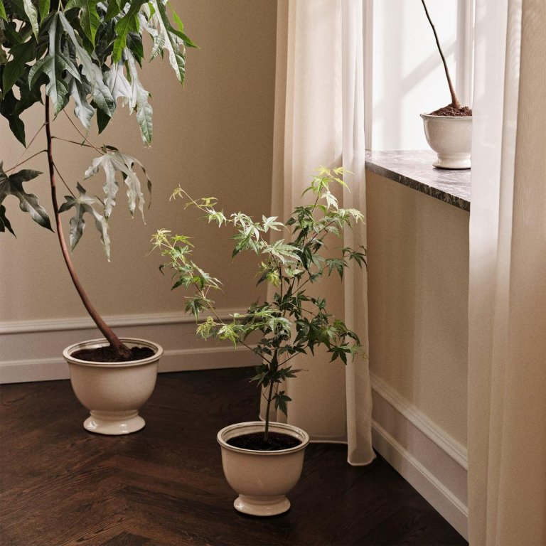 Gallery image for position 1