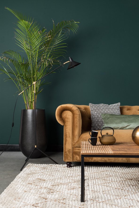 Gallery image for position 4