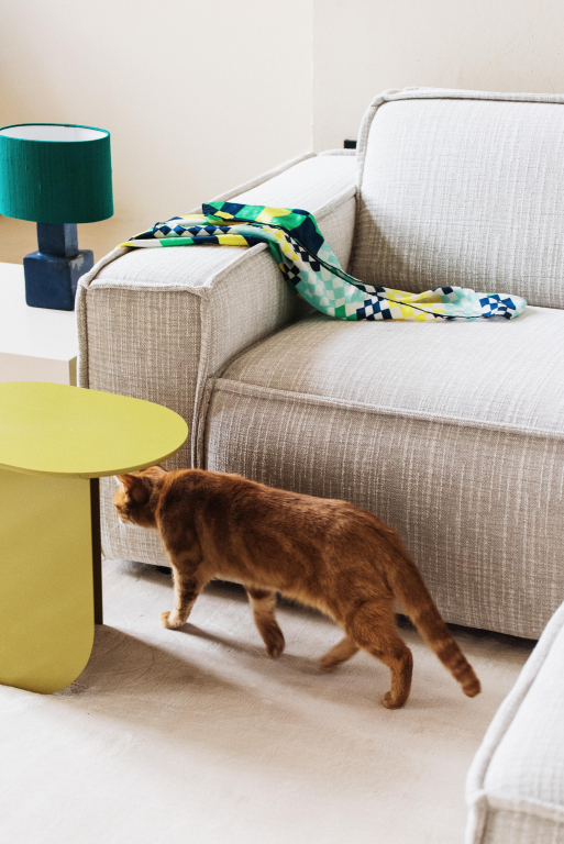 Gallery image for position 11