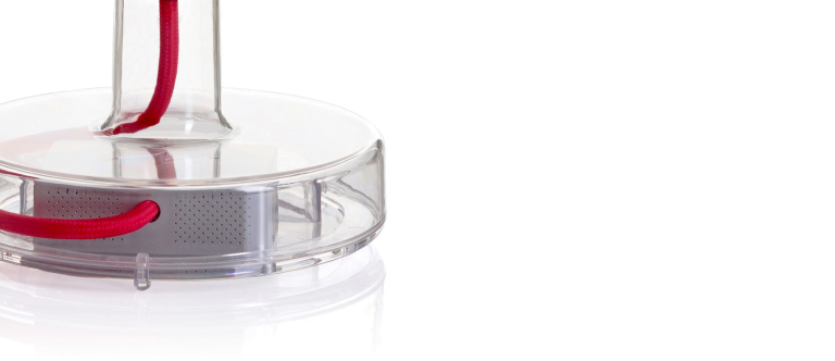 Gallery image for position 12