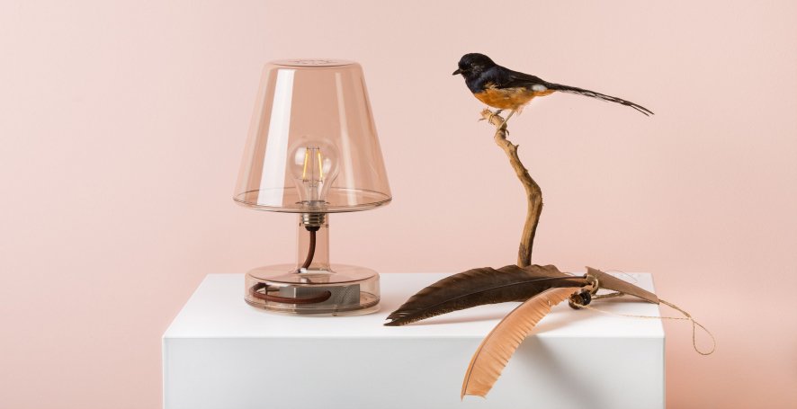 Gallery image for position 5