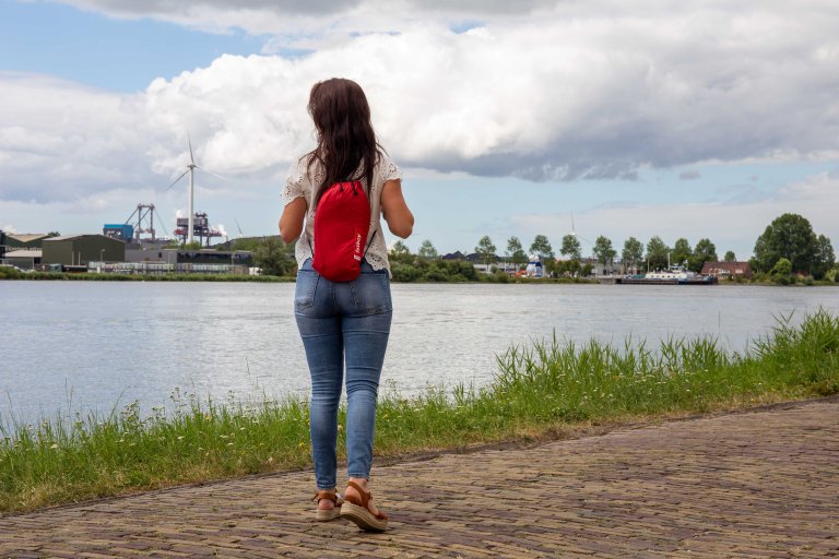 Gallery image for position 6