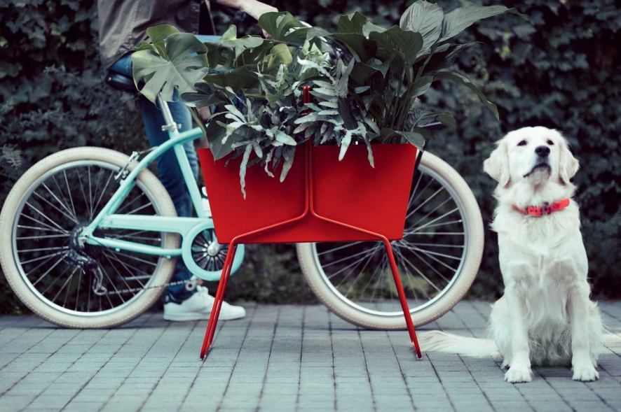 Gallery image for position 6