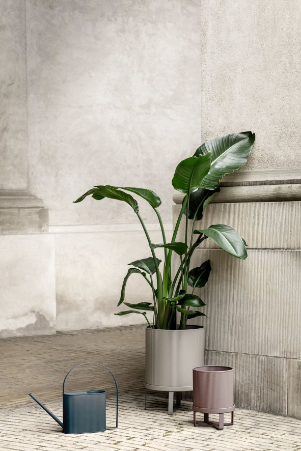 Gallery image for position 2