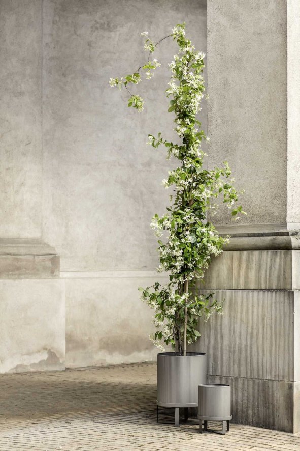 Gallery image for position 7