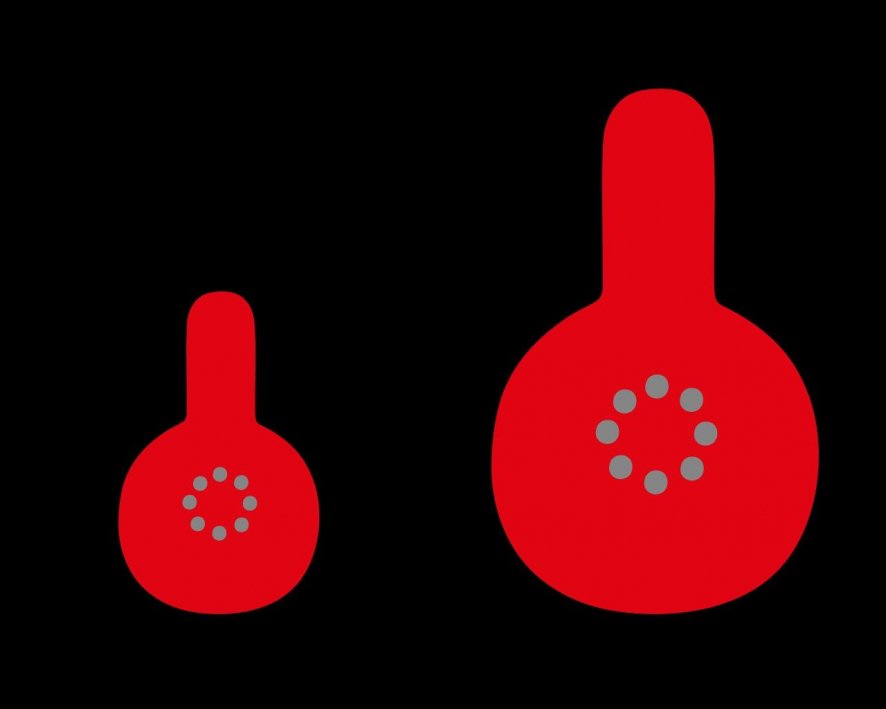 Gallery image for position 4