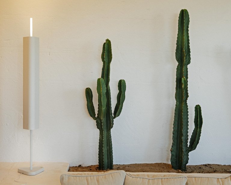 Gallery image for position 12