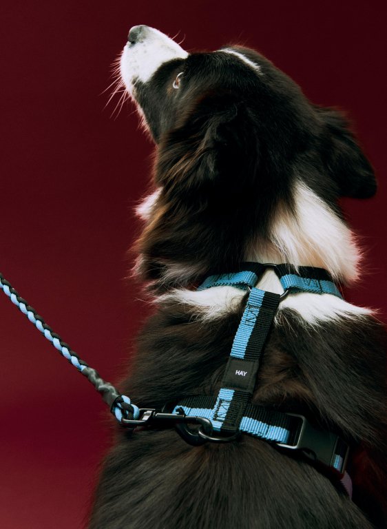 Gallery image for position 1