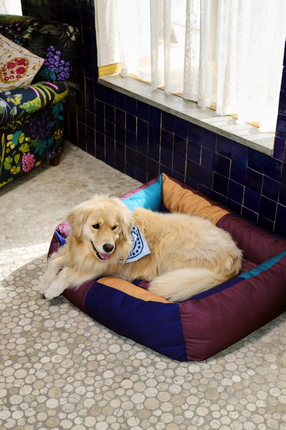 Gallery image for position 4