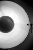 Gallery image for position 1