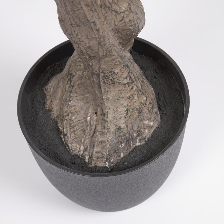 Gallery image for position 5