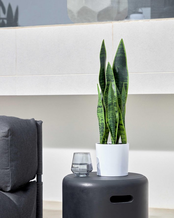 Gallery image for position 15