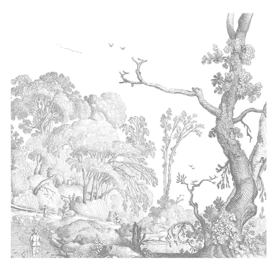 Gallery image for position 3