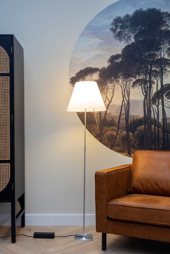 Gallery image for position 5