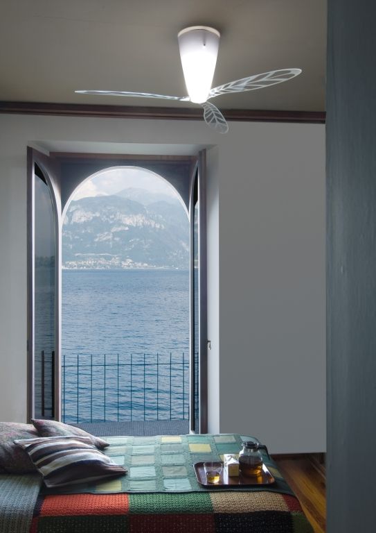 Gallery image for position 5