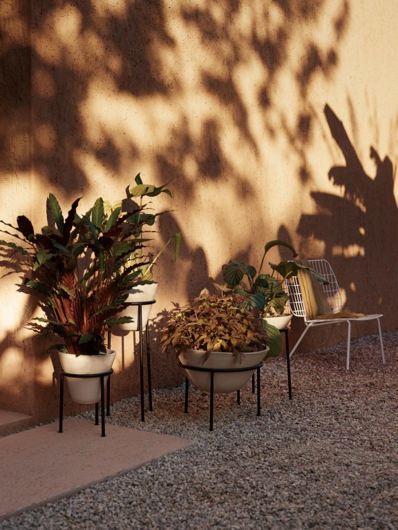 Gallery image for position 4