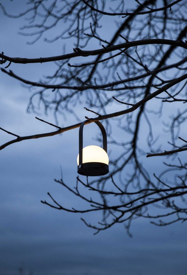 Gallery image for position 12