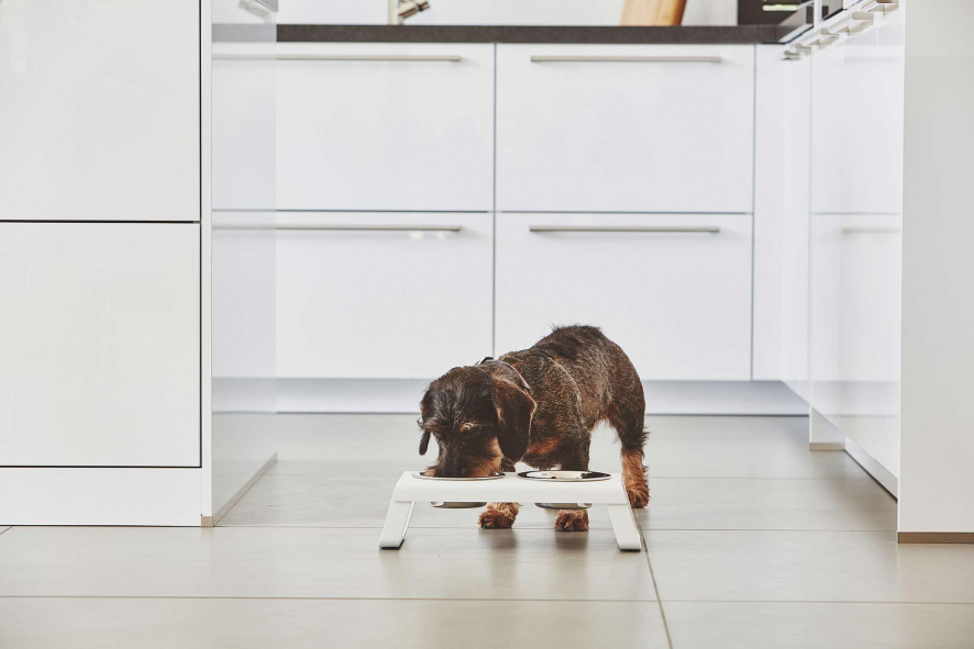 Gallery image for position 3