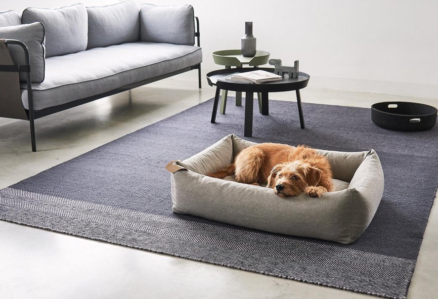 Gallery image for position 2