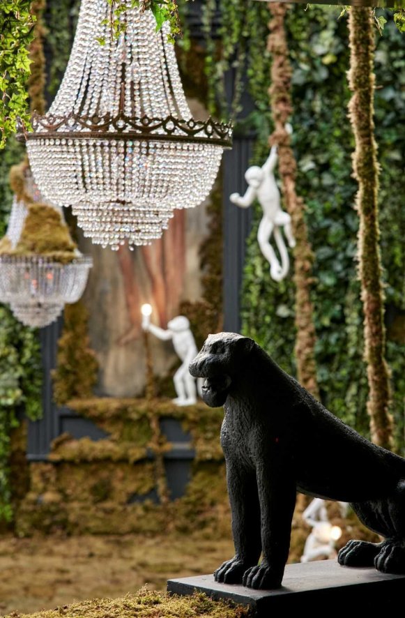 Gallery image for position 3