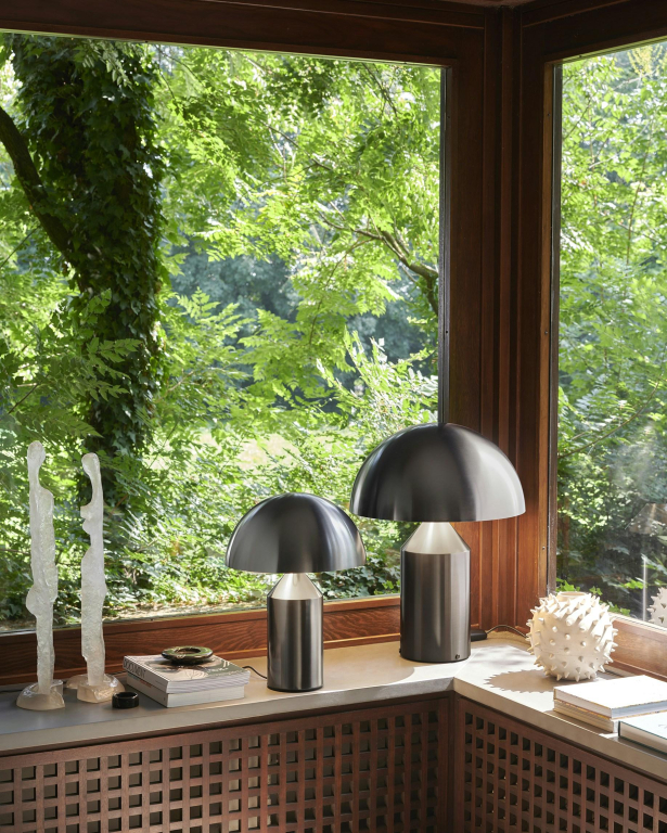 Gallery image for position 1