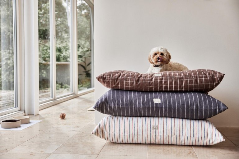 Gallery image for position 2