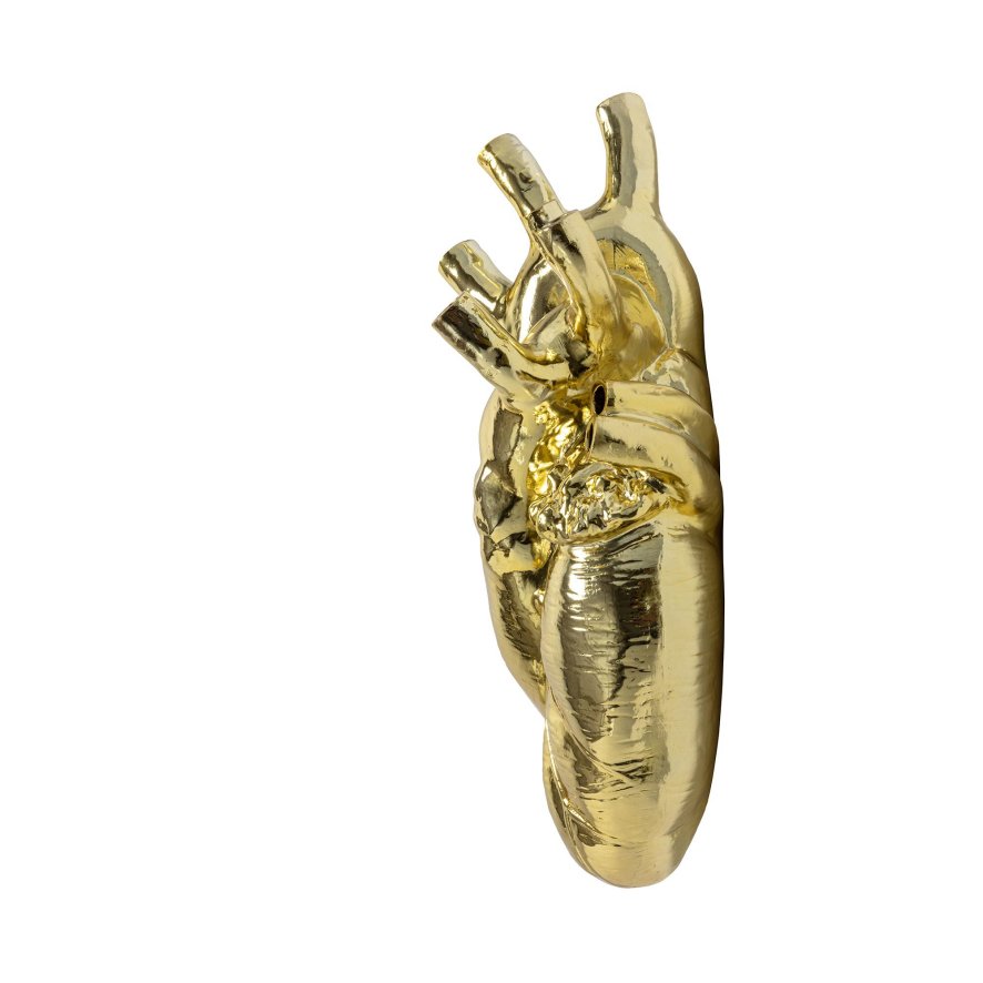 Gallery image for position 17